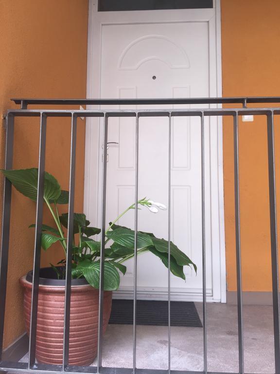 בודפשט Downtown Rose Garden Apartments Whit Garage Opcional מראה חיצוני תמונה